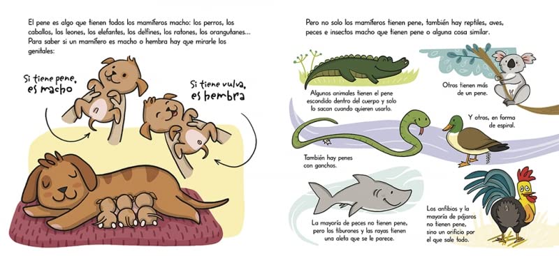 Es diu penis - Imatge 4