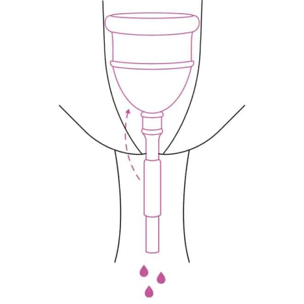 Pack copa menstrual Eureka! cup + 5 compreses de tela talla salvaslip - Imatge 3