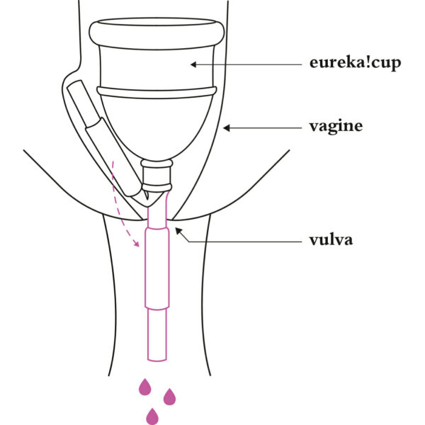 EUREKA! CUP - Image 2