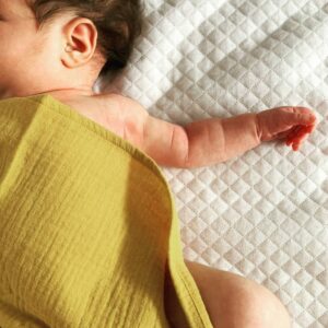 Muselina mostassa ecològica tara